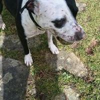 Webbsite (@webbsite69) 's Twitter Profile Photo