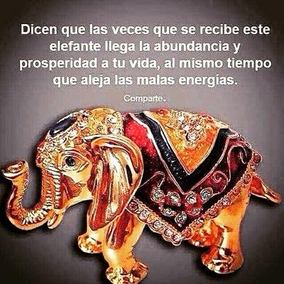 DellaniraMiche1's profile picture. Consejos Femeninos!