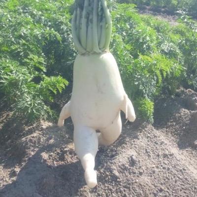 shsh_1206's profile picture. 