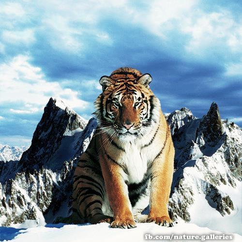 imranahmed0969's profile picture. 