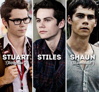 sterek
