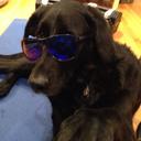 Fraser lee - @bGMrSamsonite8I - Twitter