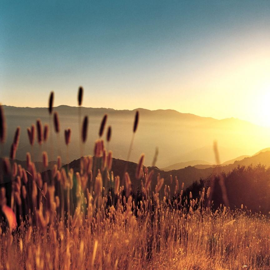 KuriisMoreno's profile picture. BuenaVibraMentePositiva