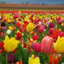 بديع النتشه (@1975Bade3) Twitter
