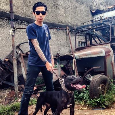 DadieaMo's profile picture. 