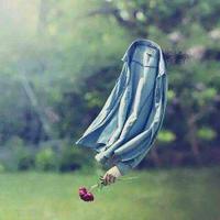 الزبيدي (@husseinalzpedy2) Twitter profile photo
