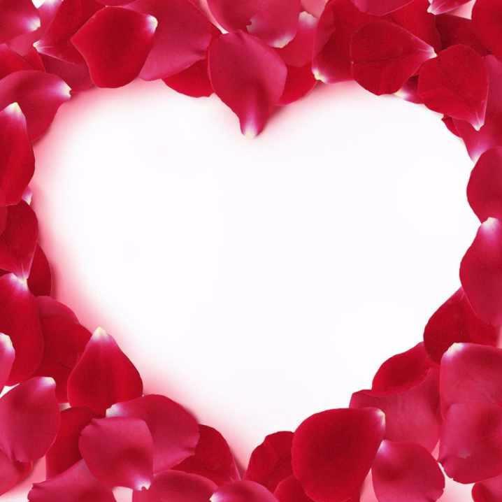 ammar685's profile picture. 