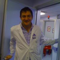 Luigi Mazzone (@profmazzone) 's Twitter Profile