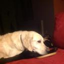 Sandra Pfister - @spfister05 - Twitter