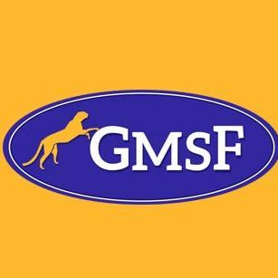 euripedesgmsf's profile picture. GMSF is a company with the goal of helping companies develop creative, innovative and futurist solutions in Software Engineering, Supply Chain and Logistic.