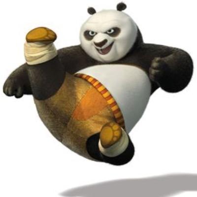 The original Kung Fu Panda *PARODY ACCOUNT*