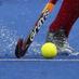 HockeyRevalidatie (@perryvanstek) Twitter profile photo