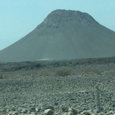 bestviewer_'s profile picture. 