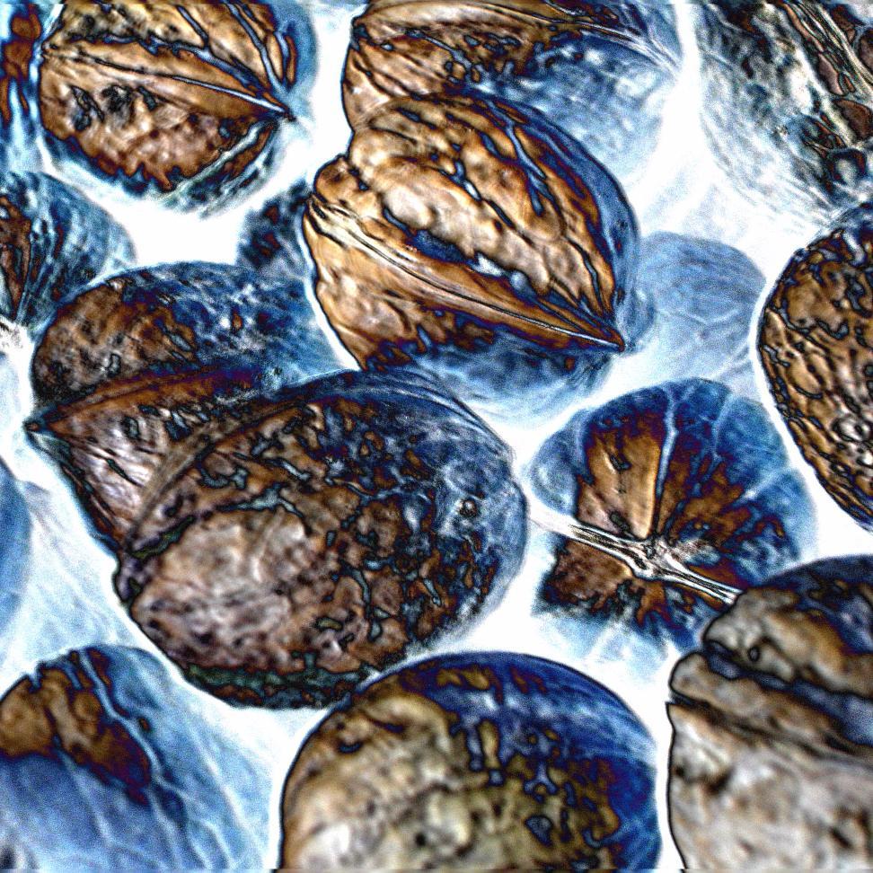 LlamasTales's profile picture. 