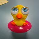 Jason & Betsy Vieth - @JTsteinbirdCg - Twitter