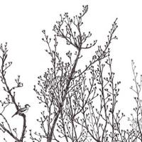 FINKH (@finkh_wien) Twitter profile photo