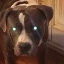 mark mount - @5URound_Feetd0 - Twitter