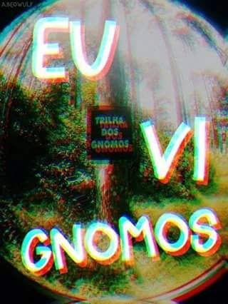 ~ segue - me no Insta: @Caroline_Monteiiro. Gnomos ficam sossegados em baixo de seus cogumelos..