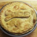 Bree Hamilton - @4cStevenator1Wg - Twitter