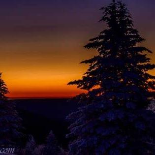 AlanRob33259797's profile picture. Take time to do what makes your soul happy.