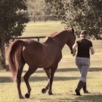 Art, kind people, good dogs and dubious horses have been my life. My circle has been broken and I write to remember.  https://t.co/2wbJwD42n2