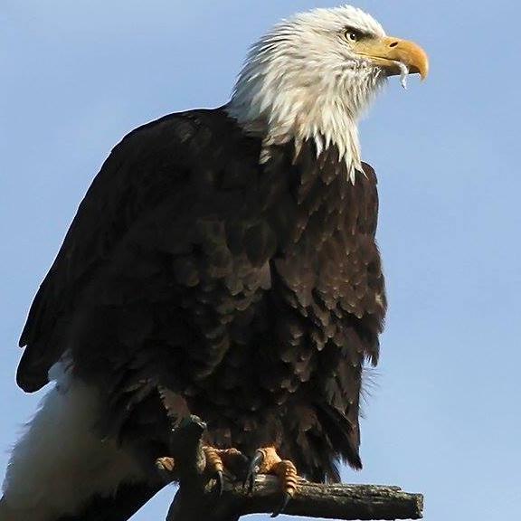 rhondaepco's profile picture. Wish You Were Here in Estes Park and Rocky Mountain National Park. Your trip planning news for lodging, things to do, specials, dining and more since 1998.