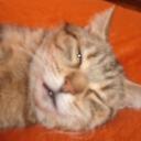 patrick urban - @urban1001 - Twitter