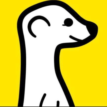 Random live video streams using the new Meerkat App