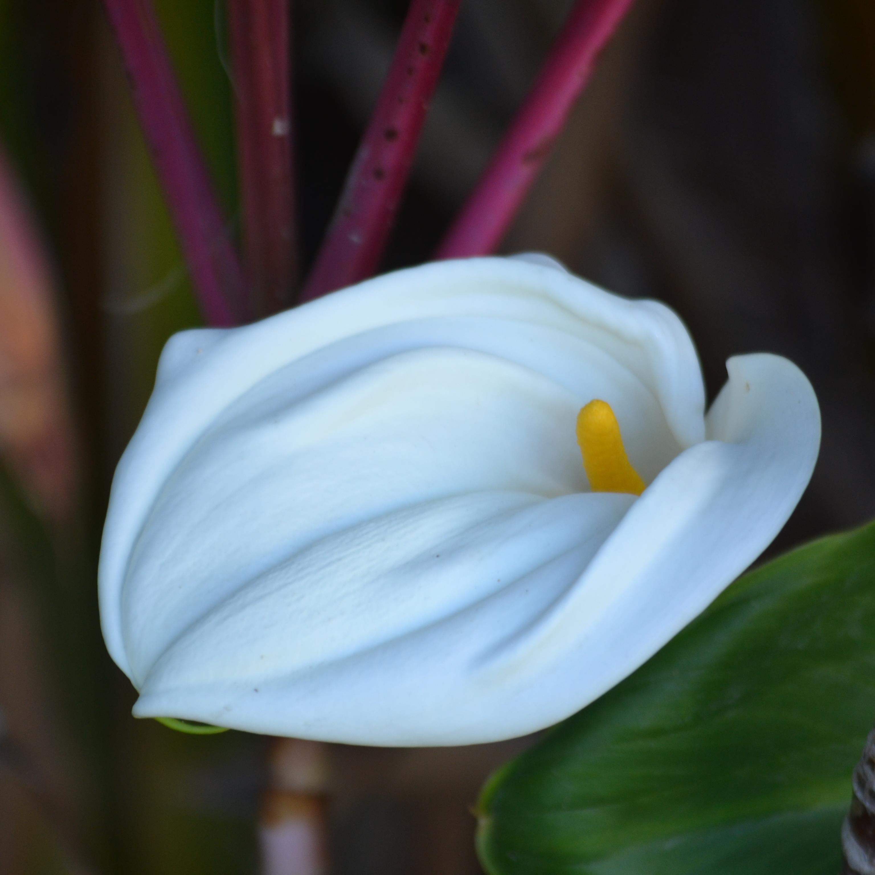 PDECORDARLING's profile picture. 