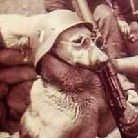 Alvaro Raba (@a_raba) 's Twitter Profile