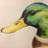UNaturalist's profile image