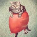 Greg Johnston - @drSex4Vespeneiw - Twitter