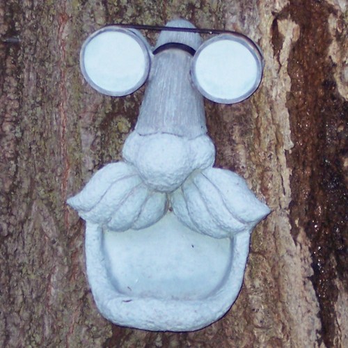 MatthewTennison's profile picture. 