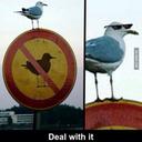 Aaron Tuttle - @AaronAlanTuttle - Twitter