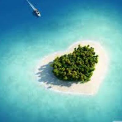 A ship full of celebs crashes onto an island, they are forced to live off the land and work together once matched up with a partner. @/DM to join.