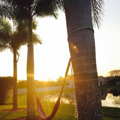 Luismitwitt's profile picture. 