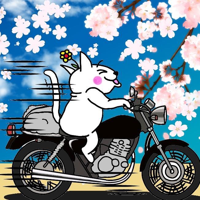 leus_leia's profile picture. 毎日がびっくりモンキー