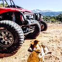 Steven Crick - @scrick1111 - Twitter