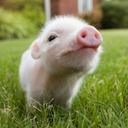 Benjamin keys - @b_bkeys - Twitter