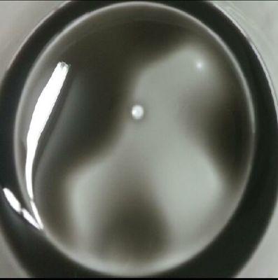 jodygreening's profile picture. 