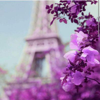 ﻟَﺴْﺖُ ﺃﻓْﻀَﻞْ ﻣِﻦْ ﻏَﯿْﺮِﯼ ﻟَﮑِﻨِﯽ ﺃﻣْﻠُﻚُ ﻗَﻨَﺎﻋَﺔٌ ﻗَﻮِﯾَﺔ .. ﺗَﺠْﻌَﻠُﻨِﯽ ﺃﺭْﻓُﺾُ ﻣُﻘَﺎﺭَﻧَﺔ ﻧَﻔْﺴِﯽ ﺑِـ ﺃﺣَﺪٍ ~