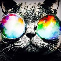jonathan jimenez gar (@garjonatha1799) 's Twitter Profile