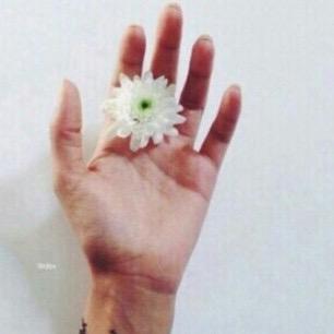 ﴿ ﻻإله الا انت سبحانك اني كنت من الظالمين..♡