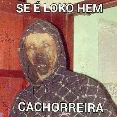 mim siga