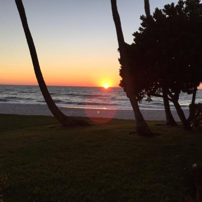 danbemerald's profile picture. 