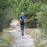 Ecosystem scientist - Office of the Chief Ecosystem at Parks Canada, Adjunct professor Laval University
Specialist in Evolutionary and conservation genomics