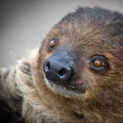 JenProgin's profile picture. 