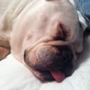 Jane lambert - @blueberrybully - Twitter