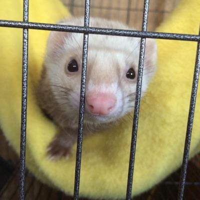 helent1122's profile picture. I am the Mom of 3 and wife of a wonderful man. I am a special ed teacher and swim instructor.