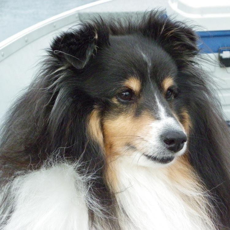 sandave1's profile picture. 